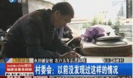 胡某宇村民爆料视频,事件背后惊人真相曝光
