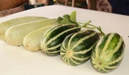 网红吃瓜视频免费,揭秘娱乐圈幕后真相，带你领略明星日常